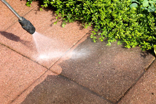Best Pressure Washing Company Near Me  in Polkton, NC